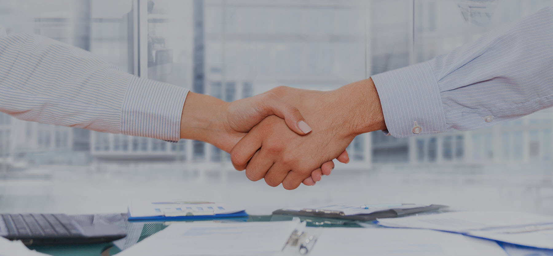 Contadores públicos